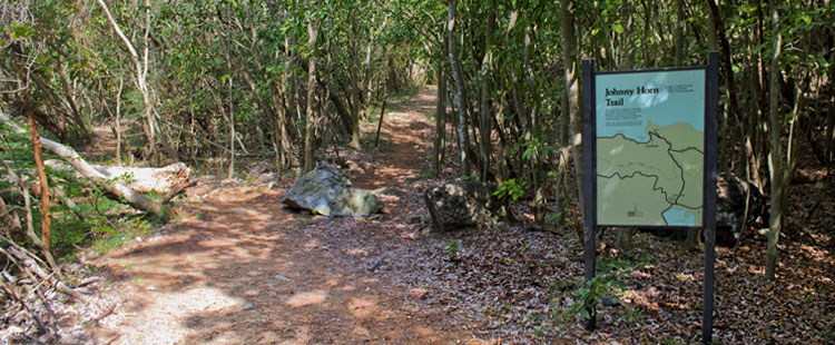 USVI studio apartment rentals